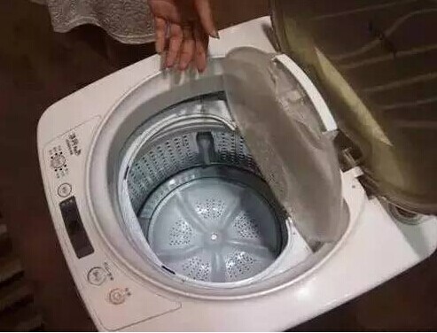 洗衣機處理不好的話會有很多的霉菌